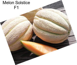 Melon Solstice F1