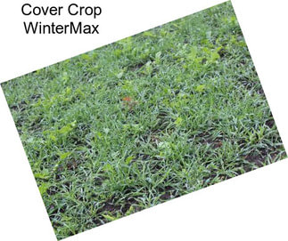 Cover Crop WinterMax