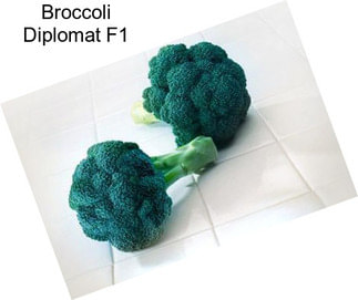 Broccoli Diplomat F1