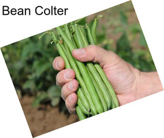 Bean Colter