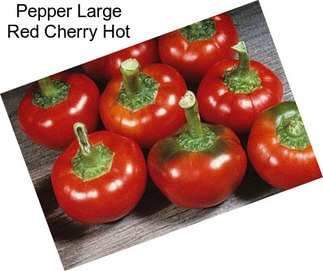 Pepper Large Red Cherry Hot