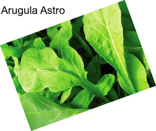 Arugula Astro