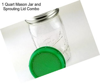 1 Quart Mason Jar and Sprouting Lid Combo