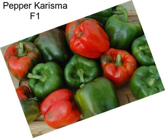 Pepper Karisma F1