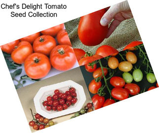 Chef\'s Delight Tomato Seed Collection