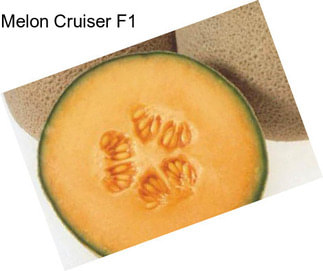 Melon Cruiser F1