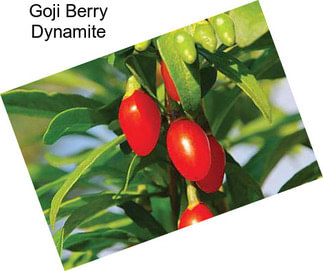 Goji Berry Dynamite