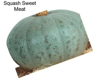 Squash Sweet Meat