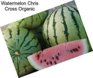 Watermelon Chris Cross Organic