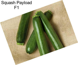 Squash Payload F1