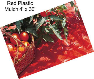 Red Plastic Mulch 4\' x 30\'