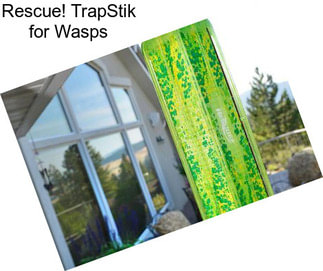 Rescue! TrapStik for Wasps
