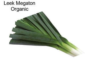 Leek Megaton Organic