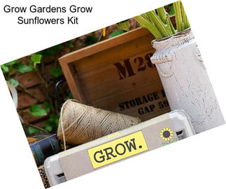 Grow Gardens Grow Sunflowers Kit