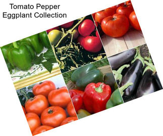 Tomato Pepper Eggplant Collection