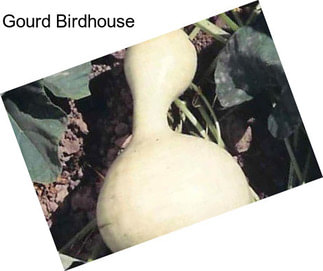 Gourd Birdhouse