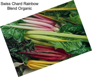 Swiss Chard Rainbow Blend Organic