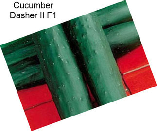 Cucumber Dasher II F1