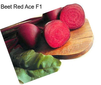 Beet Red Ace F1