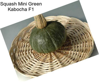 Squash Mini Green Kabocha F1