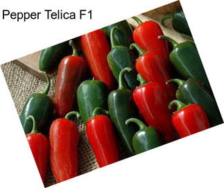 Pepper Telica F1