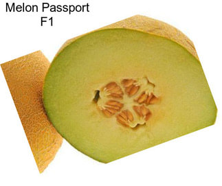 Melon Passport F1