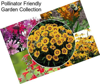 Pollinator Friendly Garden Collection
