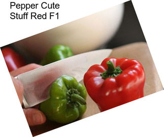 Pepper Cute Stuff Red F1