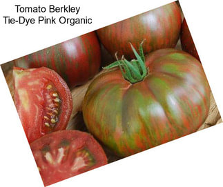 Tomato Berkley Tie-Dye Pink Organic