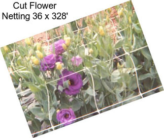 Cut Flower Netting 36\