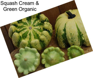 Squash Cream & Green Organic