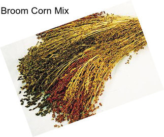 Broom Corn Mix