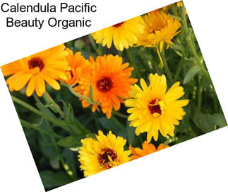 Calendula Pacific Beauty Organic