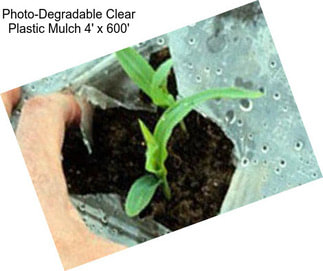 Photo-Degradable Clear Plastic Mulch 4\' x 600\'