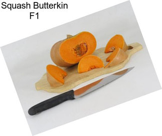 Squash Butterkin F1