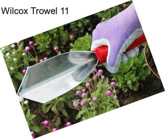 Wilcox Trowel 11\