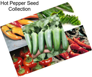 Hot Pepper Seed Collection