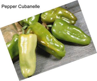 Pepper Cubanelle