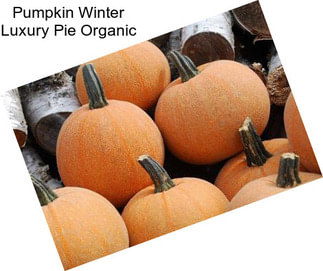 Pumpkin Winter Luxury Pie Organic