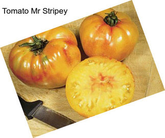 Tomato Mr Stripey