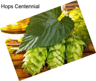 Hops Centennial