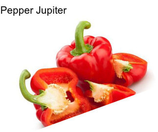 Pepper Jupiter