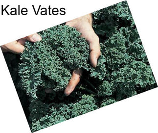 Kale Vates