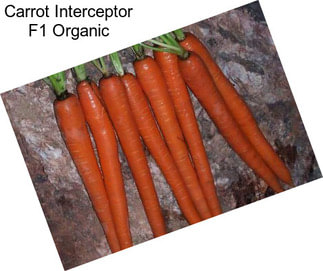 Carrot Interceptor F1 Organic