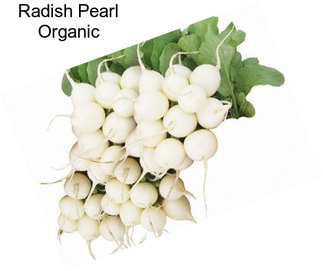 Radish Pearl Organic