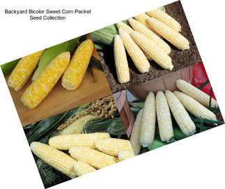 Backyard Bicolor Sweet Corn Packet Seed Collection