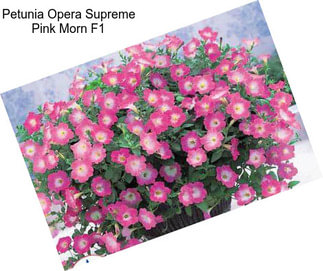 Petunia Opera Supreme Pink Morn F1