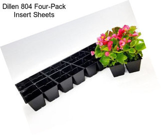 Dillen 804 Four-Pack Insert Sheets