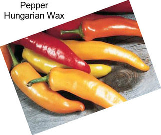 Pepper Hungarian Wax