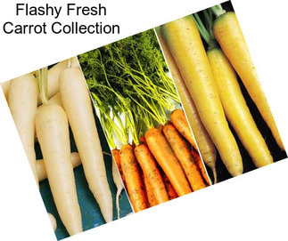 Flashy Fresh Carrot Collection